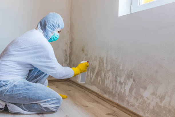 Licensed Crawl Space Mold Removal service in Henderson, GA - WQB Mold Removal