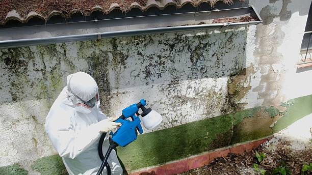 Top rated local Crawl Space Mold Removal specialists in Henderson, GA